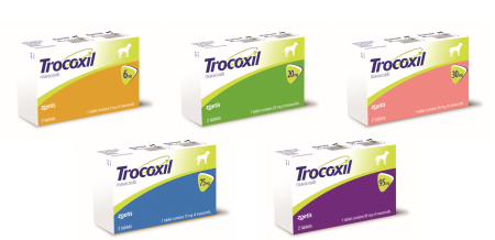 Трококсил / Trocoxil 30 мг 2 таблетки